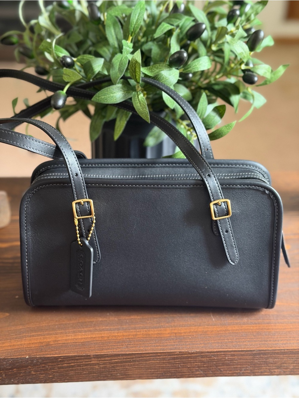 Coach Swing Zip Bag - Picture 2 of 6